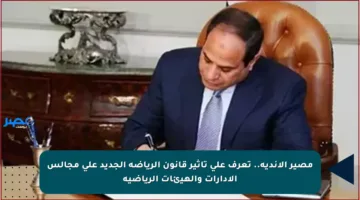 مصير الأندية.. تعرف على تأثير قانون الرياضة الجديد على مجالس الإدارات والهيئات الرياضية
